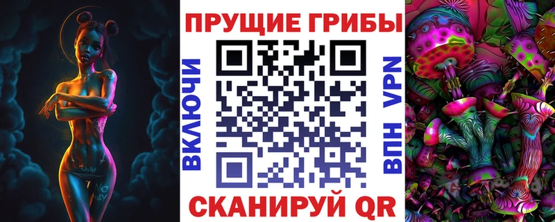 мега сайт  Усть-Кут  Псилоцибиновые грибы Cubensis 