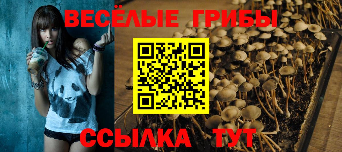 Псилоцибиновые грибы GOLDEN TEACHER  Вход с VPN  Усть-Кут 