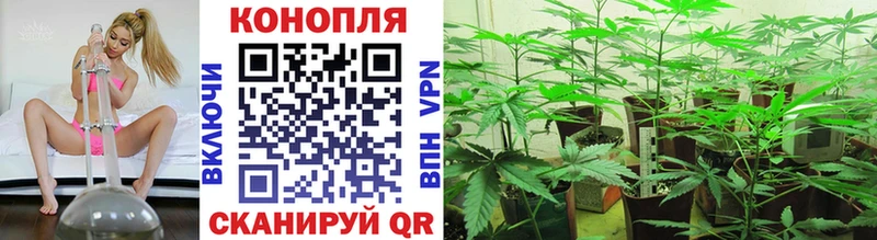 где купить наркоту  нарко площадка официальный сайт  Конопля White Widow  Усть-Кут 